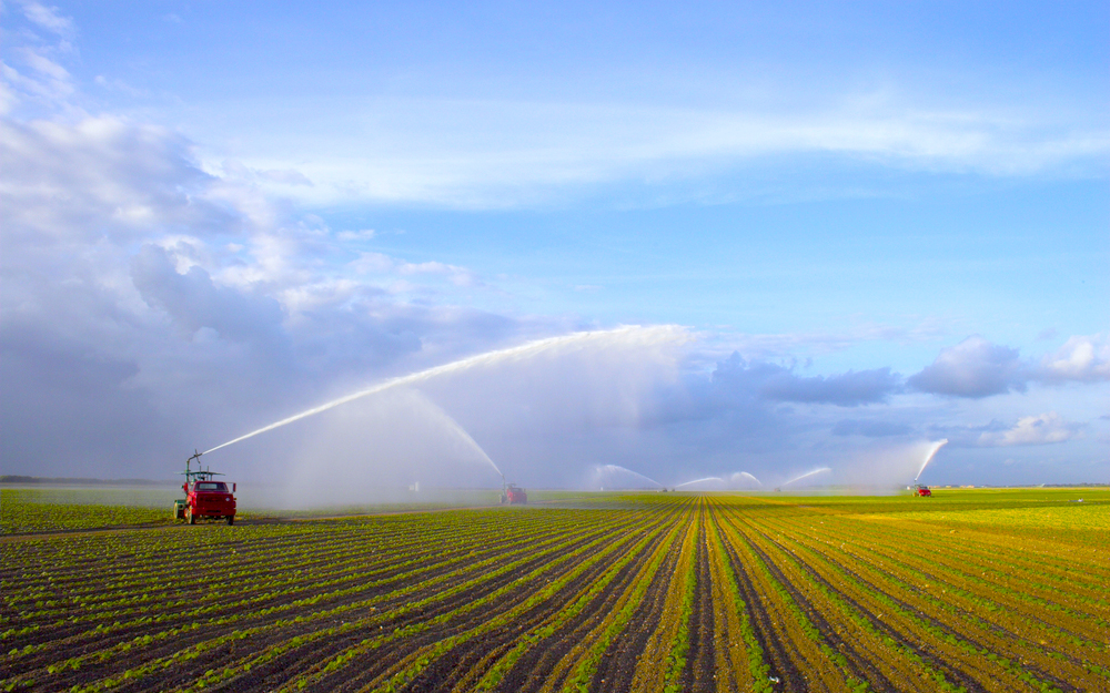 Brasilien Agraranbau Brasilien Agraranbau