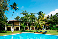 yoga and Surfing Retreat yoga and Surfing Retreat