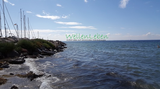 www.wellenleben.de