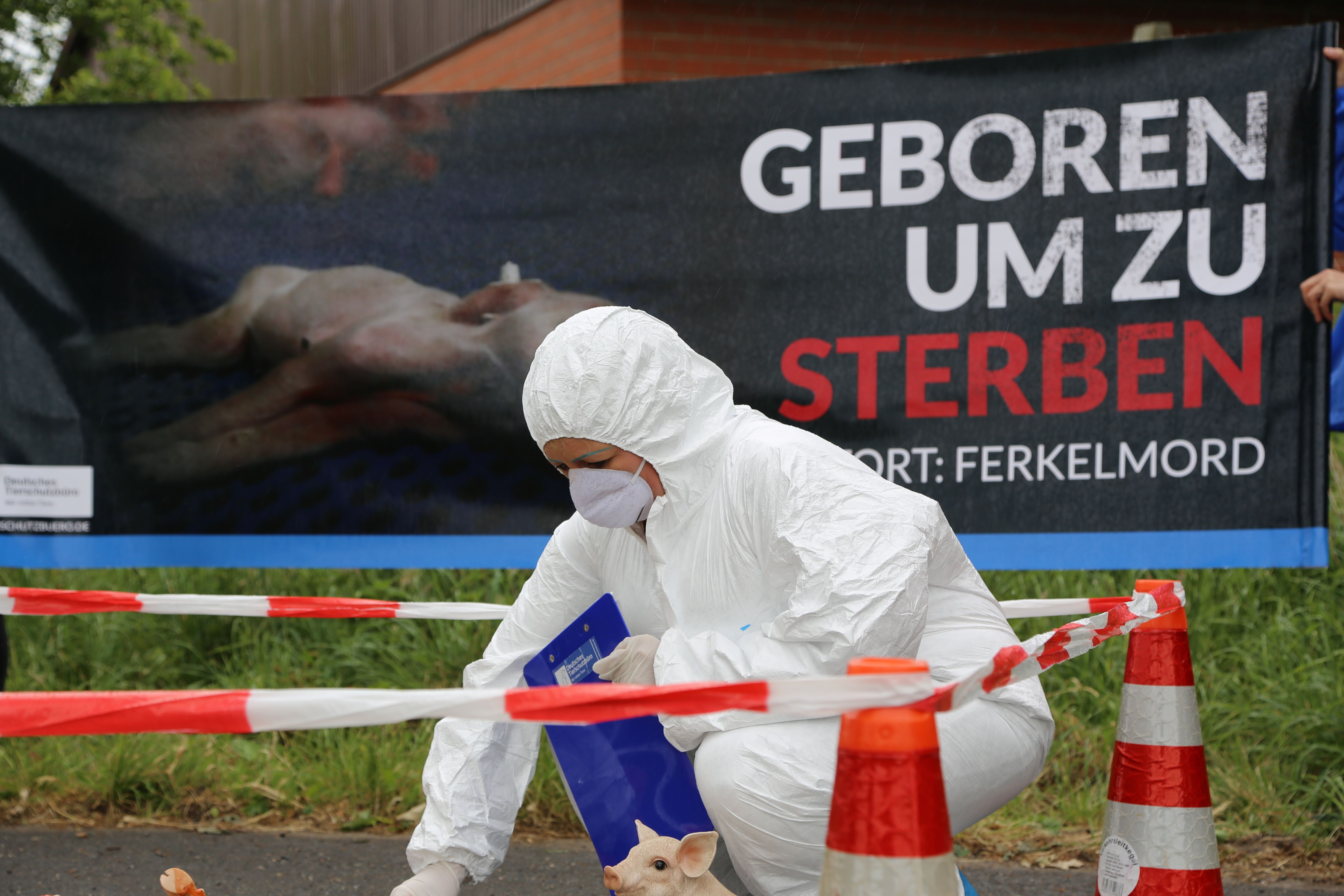 Tatort Ferkelzucht