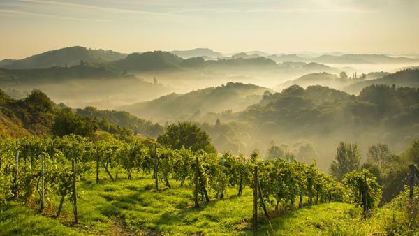 Südsteiermark