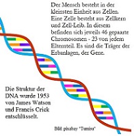 Down-Syndrom: Ursache und Diagnose Down-Syndrom: Ursache und Diagnose