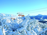 Winter in der Salzburger Sportwelt