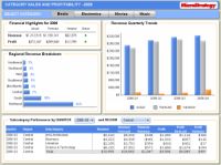 MicroStratey Category Management Dashboard 