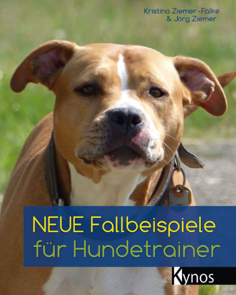 Der zweite Band mit vielen 