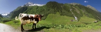 Wunderbares Panorama von Hollersbachtal. Wunderbares Panorama von Hollersbachtal.