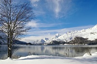 Silsersee bei Wintersonne Silsersee bei Wintersonne