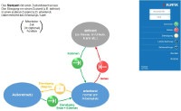 FLINTEC mobile Zeiterfassung: Native Android App und Flintec’sches Stempeldiagramm