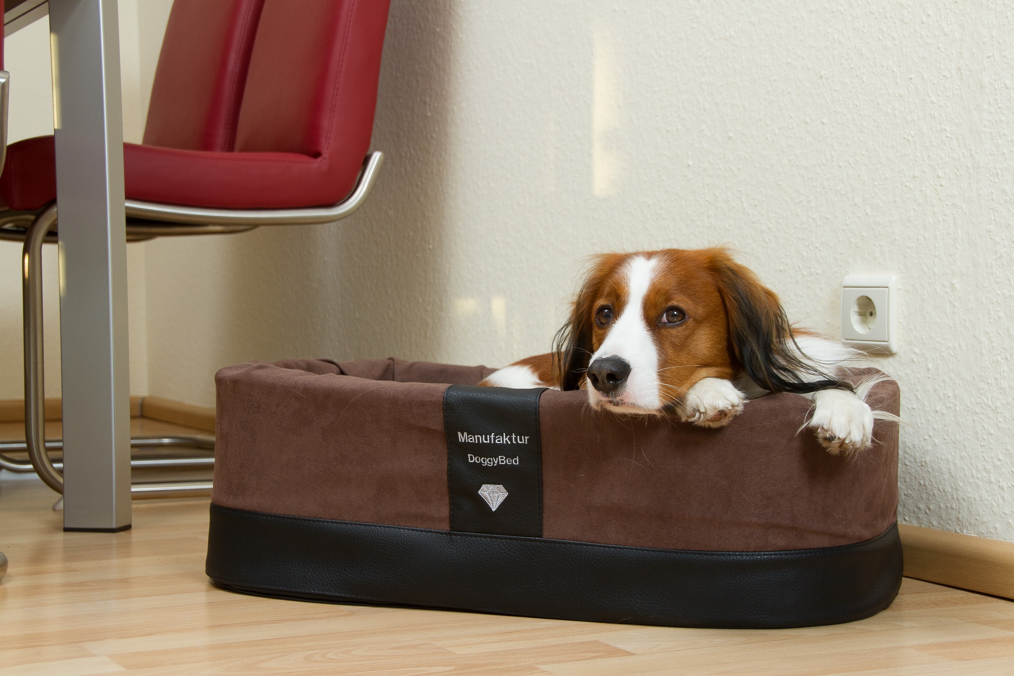 Orthopädischer Hundekorb Paddy Style Orthopädischer Hundekorb Paddy Style