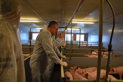 Workshop für Tierärzte mit praktischen Übungen im Stall Workshop für Tierärzte mit praktischen Übungen im Stall