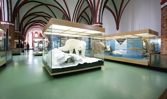 Der Museumsrundgang wird im Zuge der Modernisierung erweitert. Foto: Johannes-Maria Schlorke Der Museumsrundgang wird im Zuge der Modernisierung erweitert. Foto: Johannes-Maria Schlorke