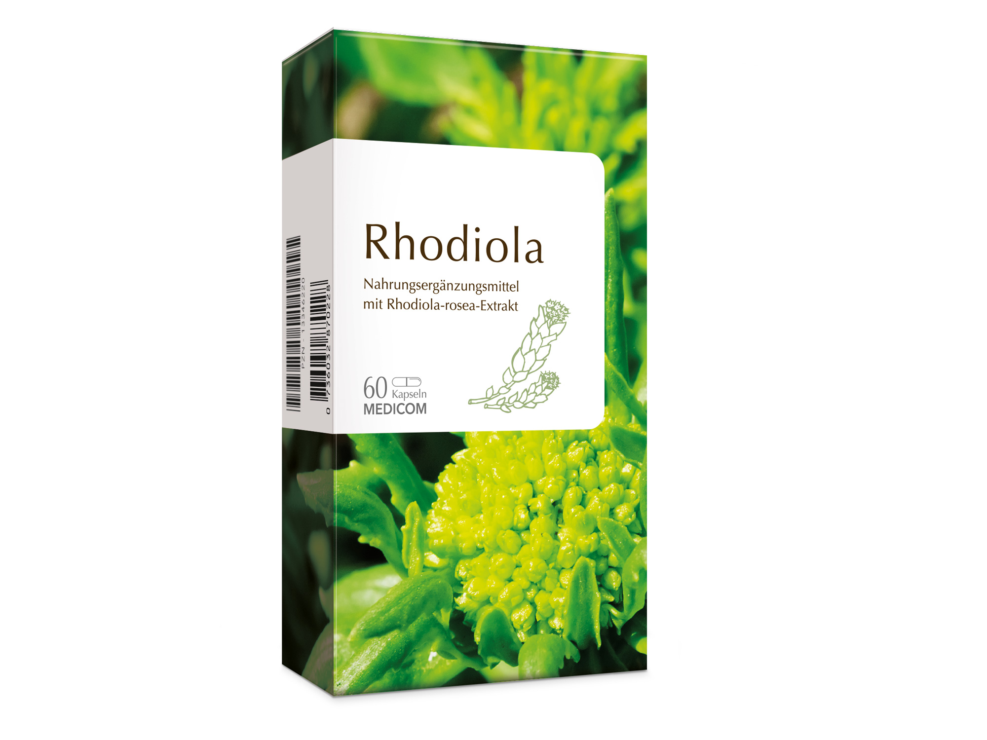 Rhodiola ist ein natürliches Stärkungsmittel von Medicom Terra
