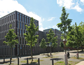 Das moderne Bürogebäude Das moderne Bürogebäude