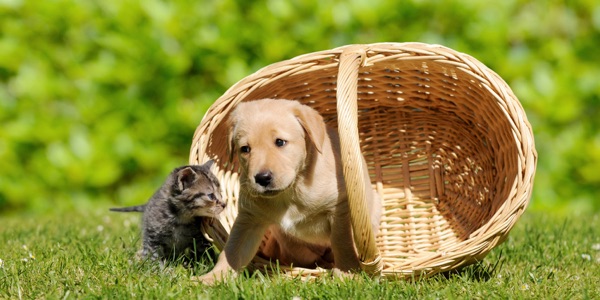 Verantwortung tragen und mit Respekt entgegentreten. (Bildquelle:©Carola Schubbel - Fotolia.com) Verantwortung tragen und mit Respekt entgegentreten. (Bildquelle:©Carola Schubbel - Fotolia.com)