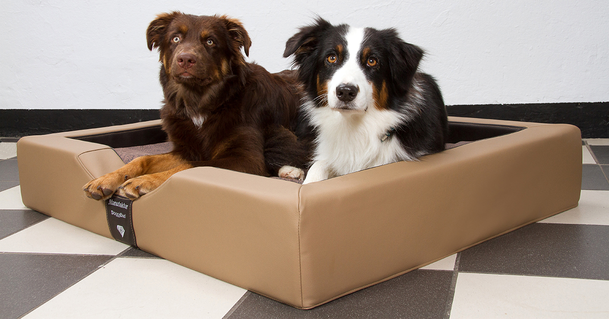 GEL - DoggyBed Compact Style