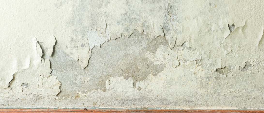 Schimmel hat viele Ursachen. (Bildquelle:©yotrakbutda?Fotolia)
