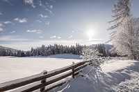 Verschneite Landschaft im Winter (Hotel Tann)