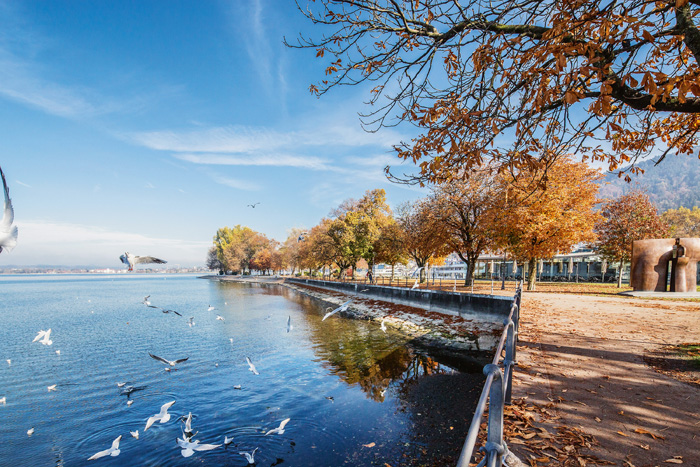 Nicht nur die imposanten Seeanlagen sind einen Besuch wert. In Bregenz?eingerahmt zwischen Bodense ( Nicht nur die imposanten Seeanlagen sind einen Besuch wert. In Bregenz?eingerahmt zwischen Bodense (