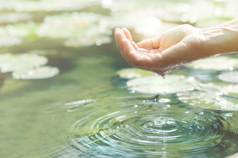 Foto: Fotolia / cristina_conti (No. 5928)
