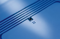 RFID-Chips sind oft nur wenige Quadratmikrometer klein. Foto: Delo RFID-Chips sind oft nur wenige Quadratmikrometer klein. Foto: Delo