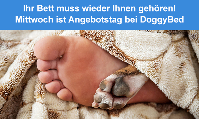 SALE am Super-Mittwoch