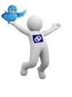 Twitter als Customer Related Management Instrument