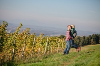 Spaß in den Weinbergen (c) Karin Bergmann (Ratscher Landhaus) Spaß in den Weinbergen (c) Karin Bergmann (Ratscher Landhaus)