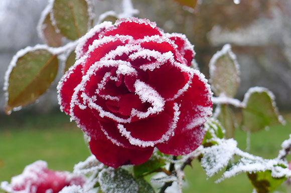 Guter Stoffwechsel - auch im Winter Guter Stoffwechsel - auch im Winter