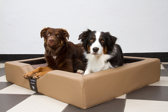 GEL-Hundebett aus der DoggyBed Manufaktur