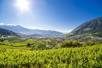 Aussicht (c) Gufler Christian (Tourismusverein Algund)