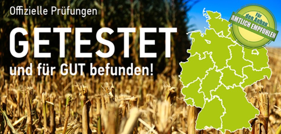 Quelle: EURALIS Saaten GmbH