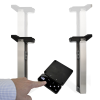 Eigo Bridge - 220kg und 40cm