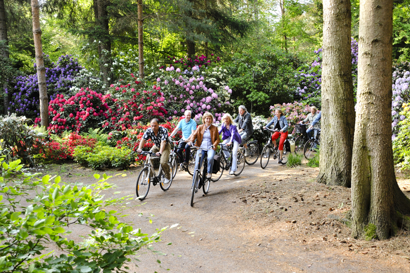 Das bunte Blütenmeer bietet eine tolle Kulisse für eine Radtour. (Bildquelle: epr/Wiefelstede Touris Das bunte Blütenmeer bietet eine tolle Kulisse für eine Radtour. (Bildquelle: epr/Wiefelstede Touris