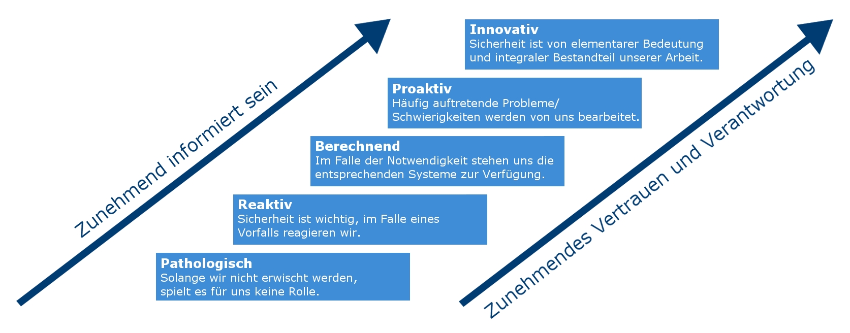 Safety Culture Ladder