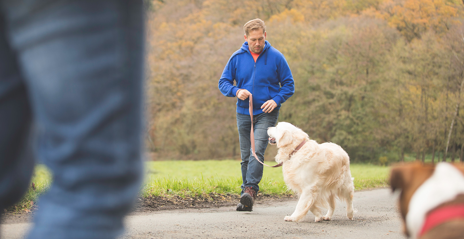 Hunde-Experte Steffen Kröber hilft Menschen, das Verhalten ihrer Hunde besser zu verstehen.