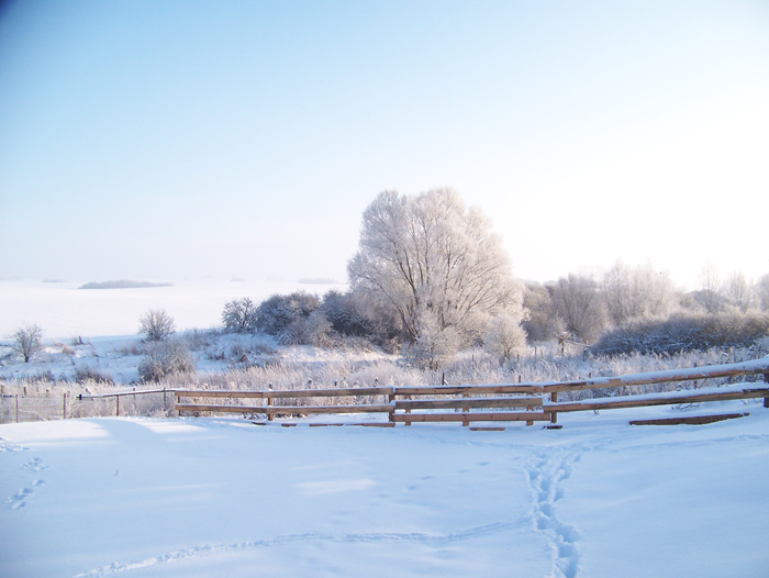 Winterurlaub mal anders! Dazu gehören auch Wanderungen durch die weiten Landschaften der Uckermark. Winterurlaub mal anders! Dazu gehören auch Wanderungen durch die weiten Landschaften der Uckermark.