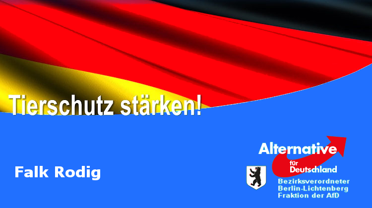 Berlin - Falk Rodig: AfD rettet Europas größtes Tierheim Berlin - Falk Rodig: AfD rettet Europas größtes Tierheim