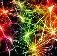 Alzheimer und die Safranknolle
