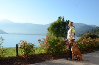 Spaziergang mit dem Hund am Lago di Caldonazzo Spaziergang mit dem Hund am Lago di Caldonazzo
