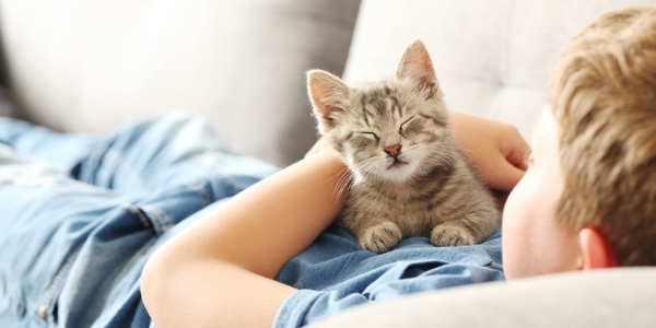 Manche Katzennamen tragen zur Berühmtheit bei: Grumpy Cat. (Bildquelle:©5second - Fotolia) Manche Katzennamen tragen zur Berühmtheit bei: Grumpy Cat. (Bildquelle:©5second - Fotolia)