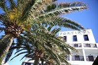Aussenansicht mit Palme (Hotel Portixol)
