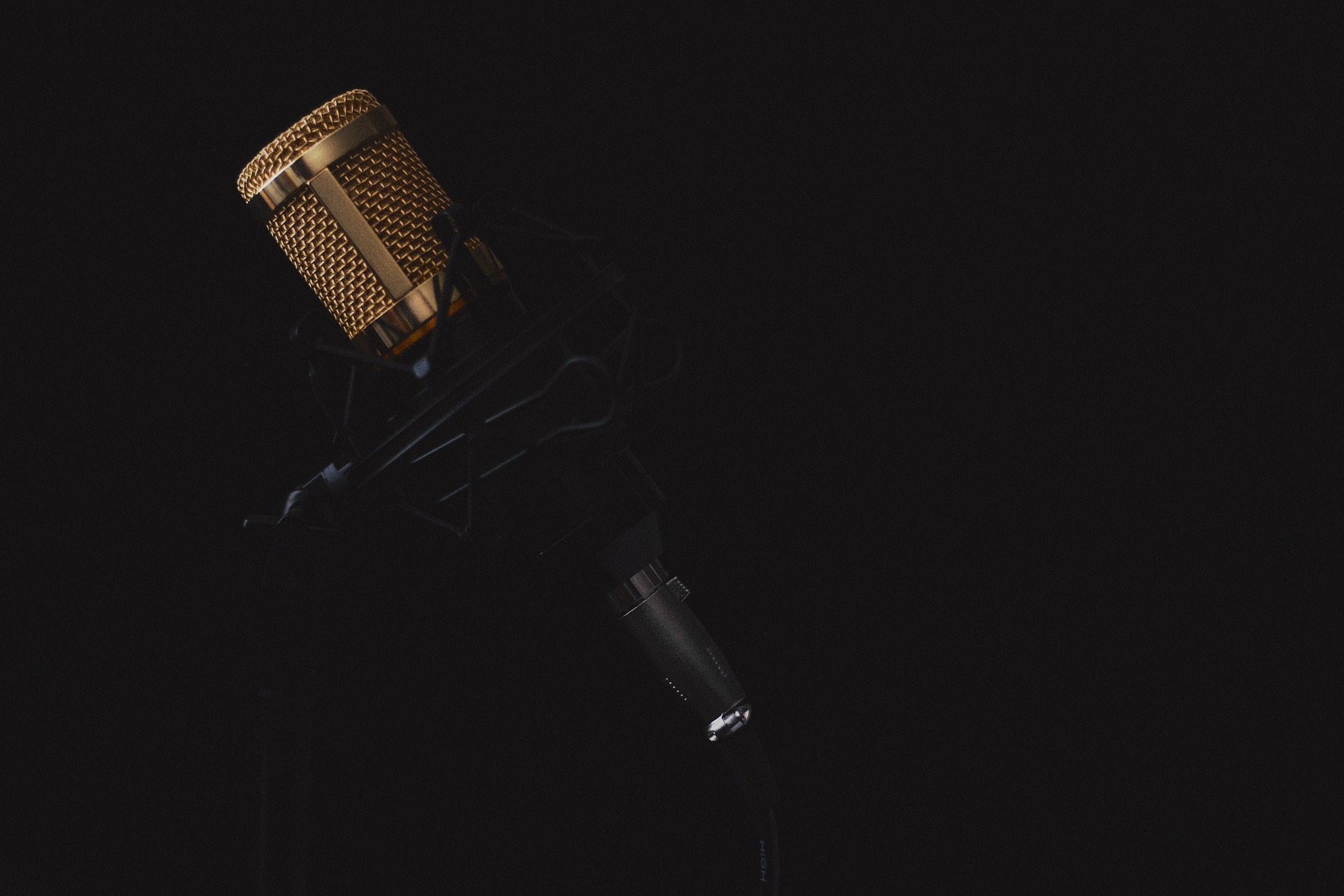 Microphone. Photo by Pixabay (Bildquelle: Pixabay)