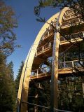 Baumwipfelpfad im Bayerischen Wald 