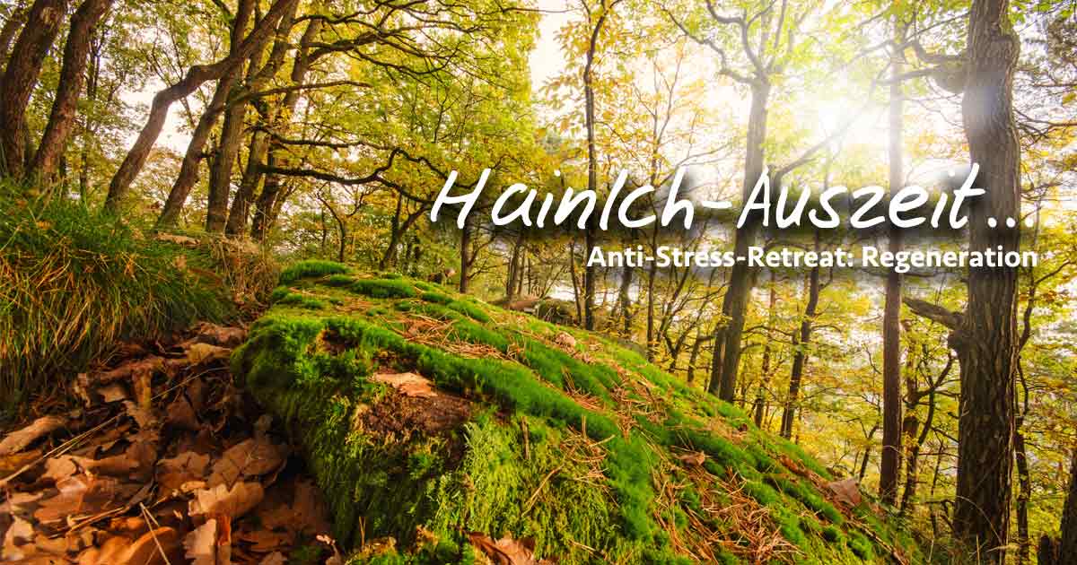 HainICH-Auszeit im WaldResort - Am Nationalpark Hainich HainICH-Auszeit im WaldResort - Am Nationalpark Hainich