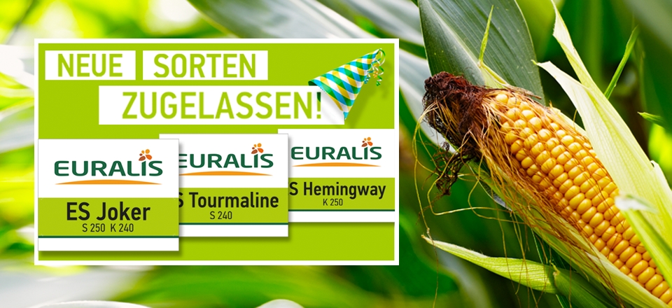 EURALIS Sortenzulassung 2018 EURALIS Sortenzulassung 2018