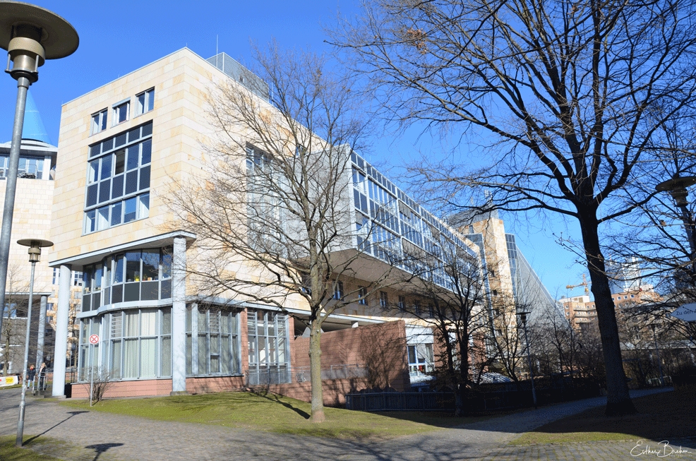 VG Frankfurt VG Frankfurt