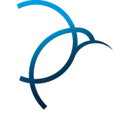 Logo VogelPerspektive 