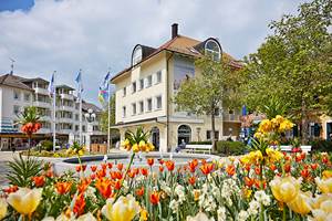 Tulpenblüte ©Kur- und Tourismusbetrieb Bad Wörishofen Tulpenblüte ©Kur- und Tourismusbetrieb Bad Wörishofen