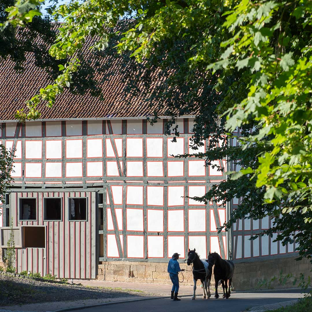 Der Zeidlerhof in Oberbeisheim
