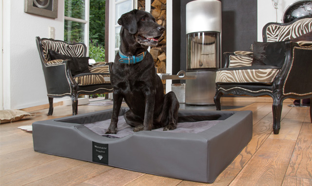 Hundebett Visko Compact Style Hundebett Visko Compact Style